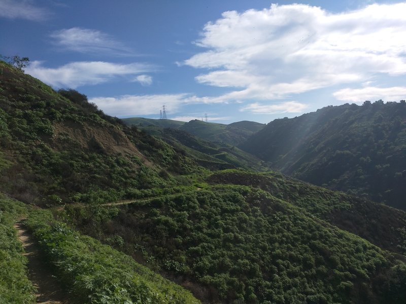 The view along Worsham Canyon.