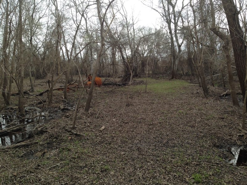 Junction of Noack Trail with Miles Trail, looking northeast.