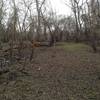 Junction of Noack Trail with Miles Trail, looking northeast.