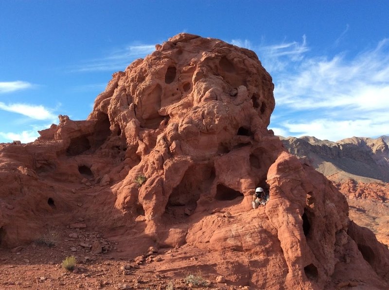 The red rocks make for great photo opportunities.