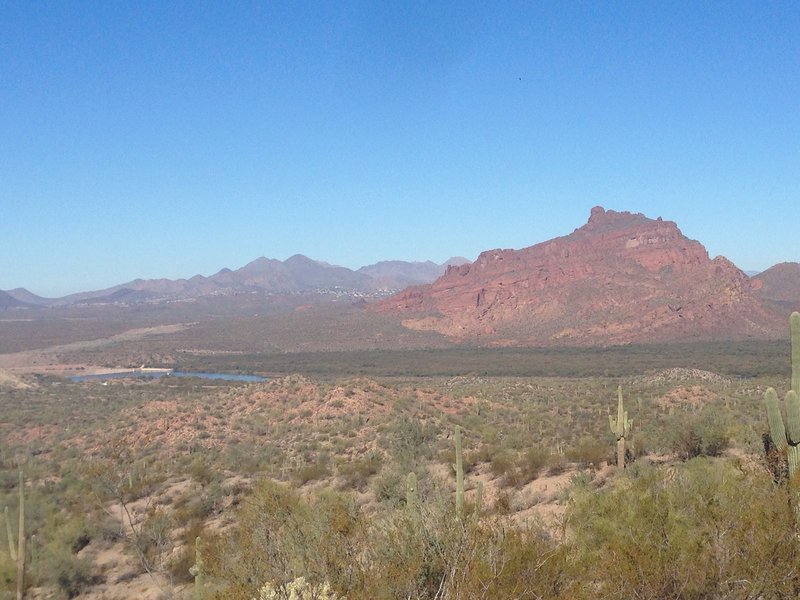 Enjoy great views of Red Mountain along the Saguaro Trail.