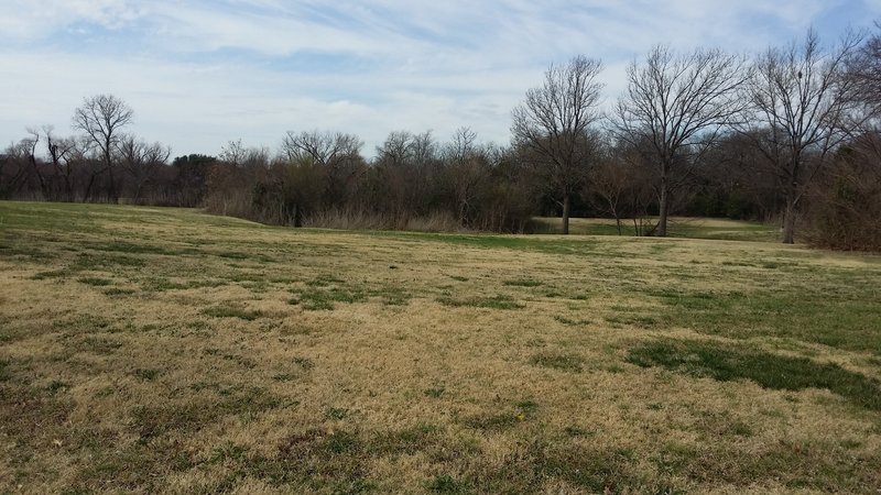 Open fields provide lots of space to enjoy with tons of wildflowers in the spring.