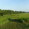 Early morning light graces the summer prairie.