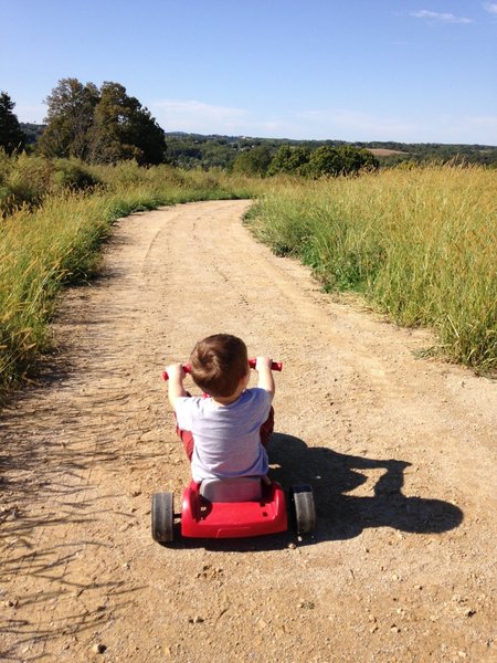 This little guy enjoys an afternoon ride as his family hikes along the Galena View Trail.