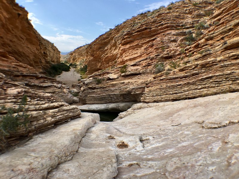 Just past the first tinaja, look back toward the parking lot to experience this gorgeous view of Big Bend's interesting geology.