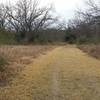 This is typical for the trail in Breckinridge Park as it alternates between double and singletrack.