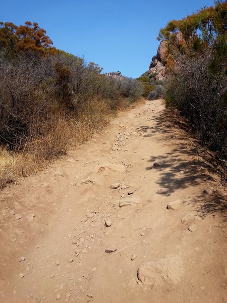 There's little shade in some areas along the trail, so you'll have to navigate its rocky tread in full sun.