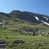 The objective is in sight! La Plata Peak Trail passes through some beautiful alpine meadows that are packed with flowers in the summer.