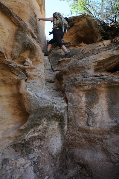 A few spots along the Druid Arch Trail will require some scrambling. The scrambles are very fun and well worth the reward at the end!