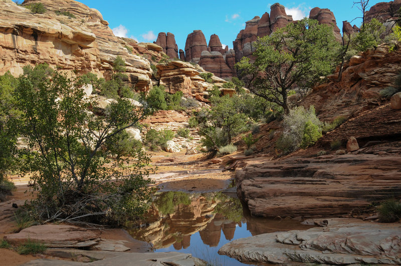 Stop to take in the beautiful scenery along Elephant Canyon.