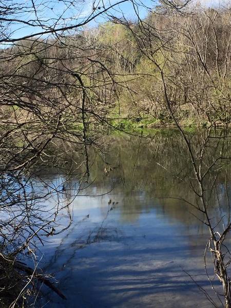 This hidden gem is a phenomenal fishing hole on Cibolo Creek.