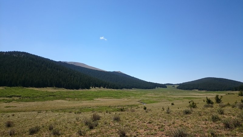 Enjoy this pleasant view when looking south across the Rough and Tumbling Creek meadows.