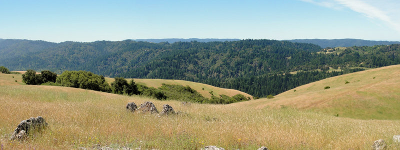 Enjoy a panoramic view from the summit of Black Mountain.