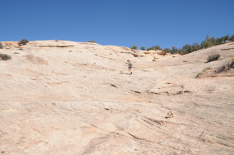 There are some large rock sections on the north end of the trail that make it a little more interesting.