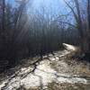 Parts of this trail are quite winding as they make their way through the dense hardwood forests.