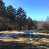 Some sections of trail are wide open with an unobstructed view of the sky.