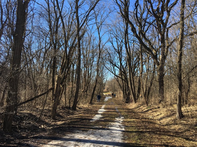 Nearing the end of the trail, enjoy this narrower, tree-lined path.