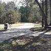 Enjoy plentiful picnic areas in Spring Creek Nature Area.