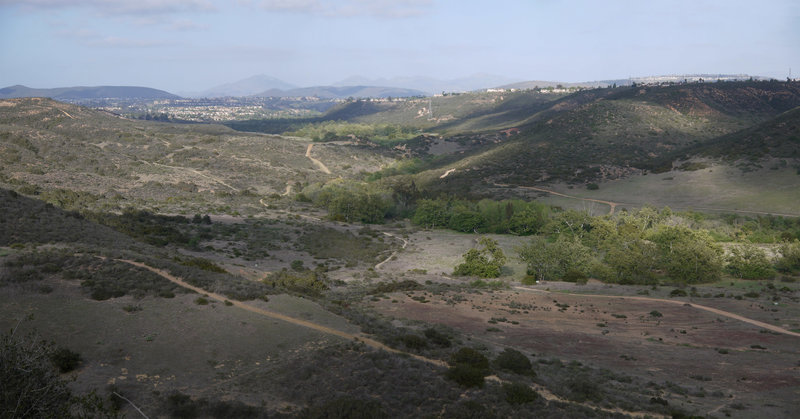 Shadows descend over a drought-stricken Los Peñasquitos Canyon.