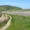 Los Peñasquitos Canyon becomes verdant in late winter.