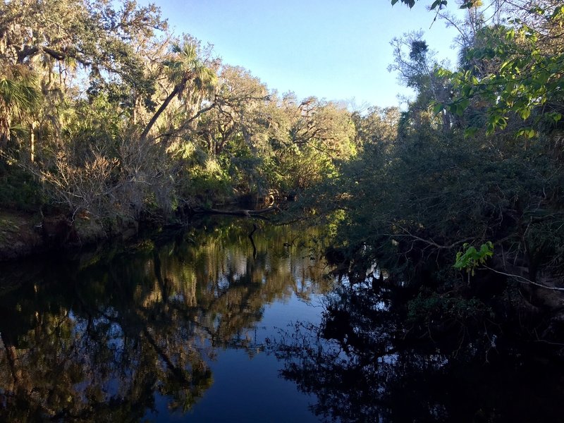 Enjoy a pleasant view of the tannin-rich water from the overlook on the Boardwalk Nature Trail.