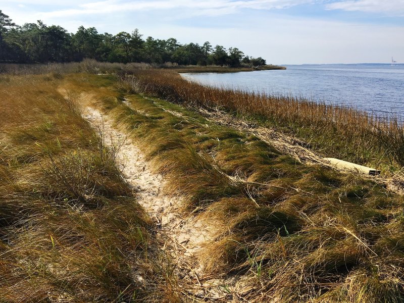 The trail along the Cape Fear River offers gorgeous views of the water and dunes.