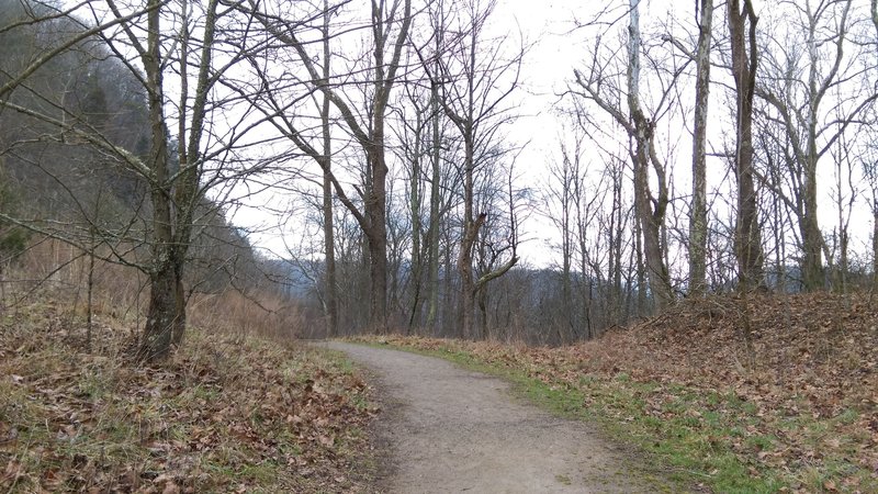 The Wilderness Road Trail is smooth and scenic through this section.