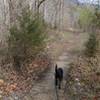 A small footbridge keeps Fido's feet dry on the Daniel Boone Trail.