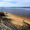 From this viewpoint, you'll encounter a great look at the tannin-rich waters of the Cape Fear River.