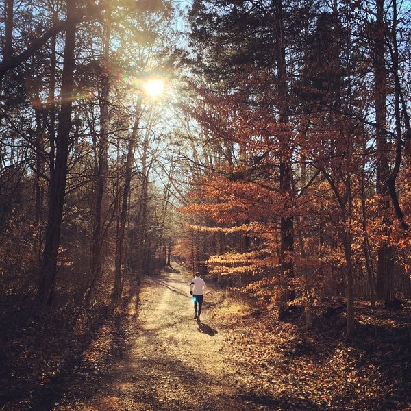 Great light makes for a beautiful run on the Buffalo Creek Trail.