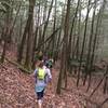 We had a lovely group run on the Lick Creek Trail.