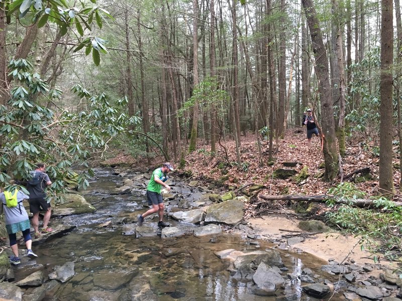 The Lick Creek Trail is home to many creek crossings.