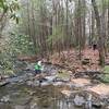 The Lick Creek Trail is home to many creek crossings.