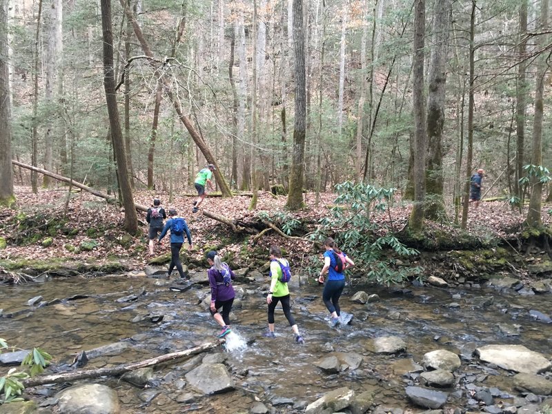 You're in for many creek crossings on the Lick Creek Trail.