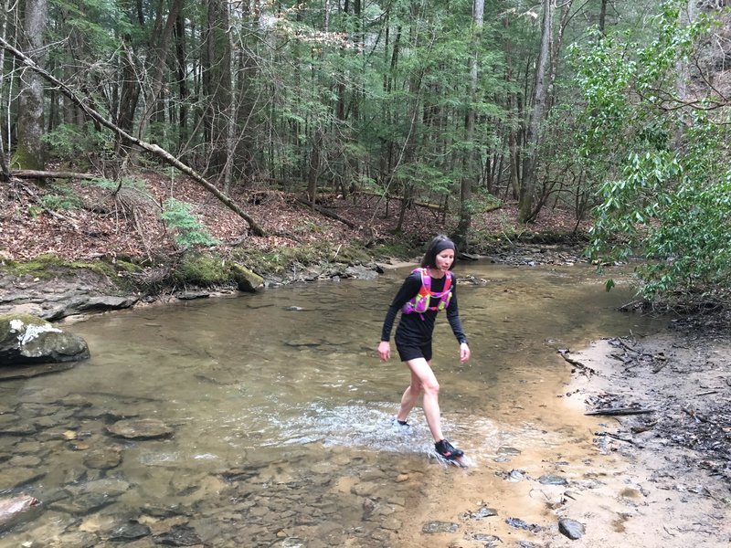 Navigate many creek crossings on the Lick Creek Trail.