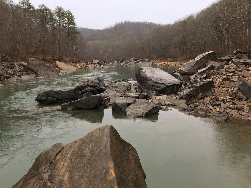 The South Fork of the Cumberland River meanders peacefully alongside the trail.