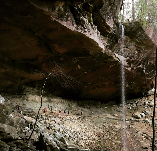 This fantastic section of the trail runs behind Yahoo Falls.