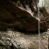 This fantastic section of the trail runs behind Yahoo Falls.