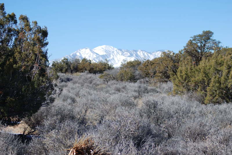 Bear Mountain is blanketed with snow while the desert remains dry.