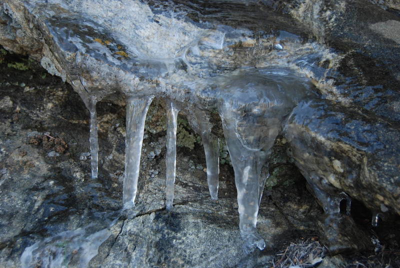 Rare for Joshua Tree, ice columns formed off the Westview Trail along the nearby wash.