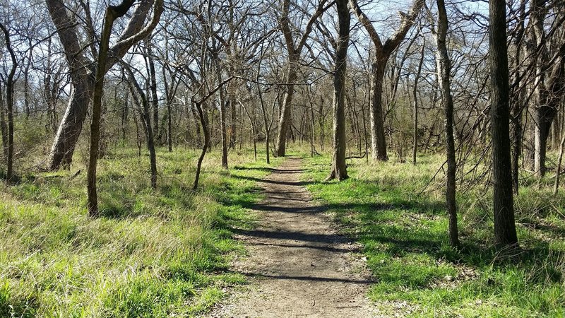 This is a typical trail in the hardwood river-bottoms of the nature preserve.