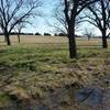 Enjoy this hardwood grove near the entrance to the High Meadow Trail.