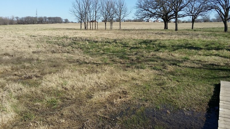 Large open meadows provide plenty of space for wandering.