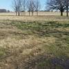 Large open meadows provide plenty of space for wandering.