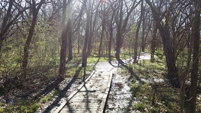 Boardwalks in lower-lying areas help to keep feet dry.