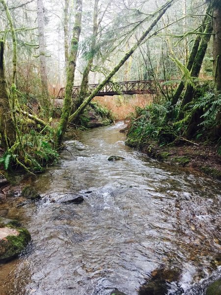 Gold Creek beneath the first bridge crossing.