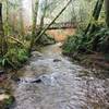 Gold Creek beneath the first bridge crossing.