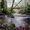 The Green Mountain Loop starts off strong as verdant, mossy forests usher you to a quaint bridge.