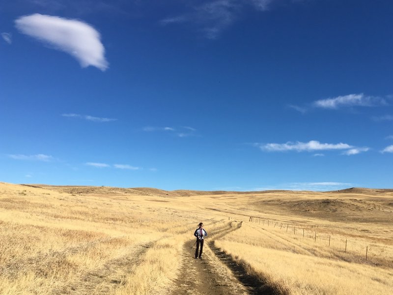 The golden hills ripple behind us as we make our way back to the trailhead.