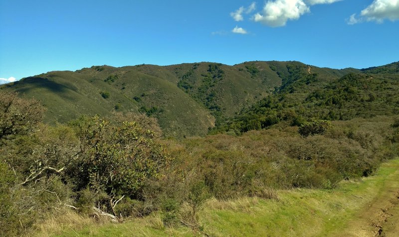 With a brush-covered ridge to the northeast, the Priest Rock Trail climbs in the distance to end at the Kennedy Trail.